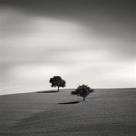 47++ Medium format landscape photography image ideas