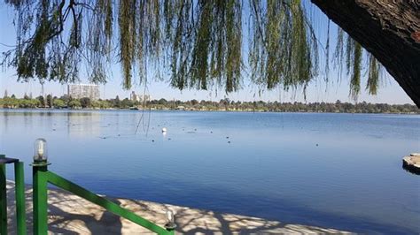 Germiston Lake (Johannesburg) - 2020 All You Need to Know BEFORE You Go (with Photos) - Tripadvisor