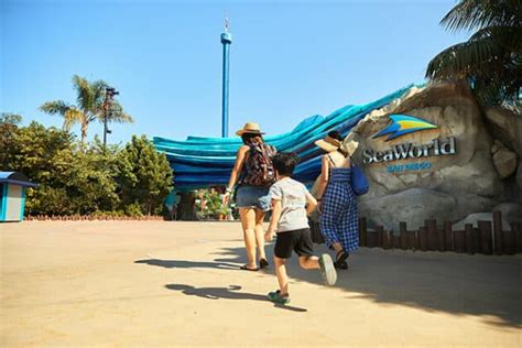 SeaWorld Sued Following Tragic Death After Park Injury - Inside the Magic