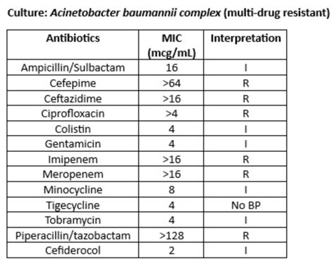 CRAB (Carbapenem-Resistant Acinetobacter baumannii) Treatment Options - PPID Journal