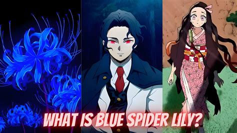 What is Blue Spider Lily | Demon Slayer - YouTube