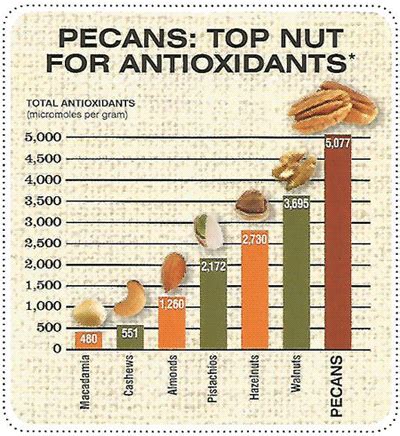 Pecans Natures Health Food | Wood Pecan Company