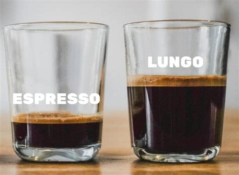 Lungo Vs Espresso - What's The Difference? - WeCoffeeCompany