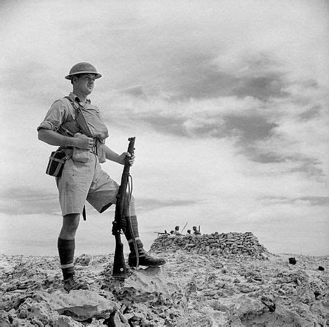 Desert War | British soldier, North africa, World war two