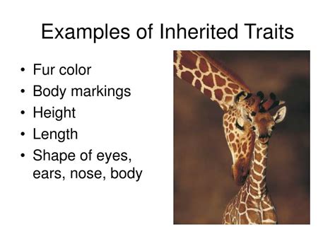 Traits Examples