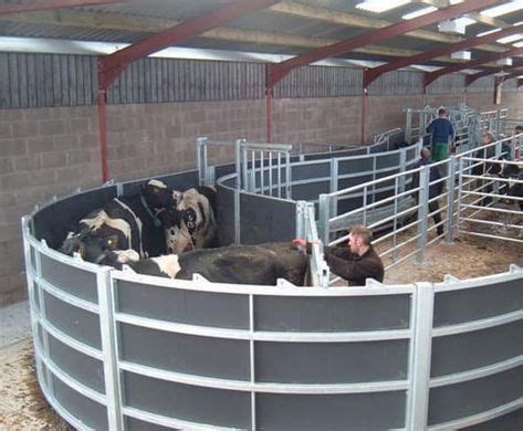 IAE offer expertise gained from many years of supplying fixed cattle handling systems to suit ...