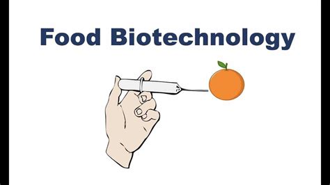 Food Biotechnology: Application Examples, Advantages And Disadvantages - FarmPally.com