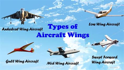 Types of Wings in Aircraft | Aircraft Wings | Airplane Wings | Aircraft Wings Types and Shapes ...