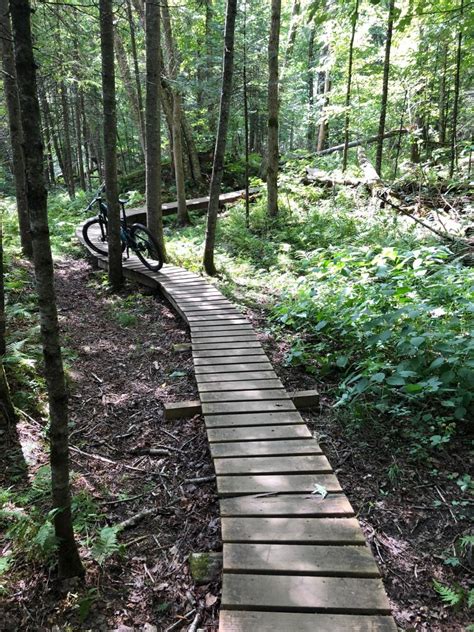 Kingdom Trails Mountain Bike Trail in East Burke, Vermont || SINGLETRACKS.COM