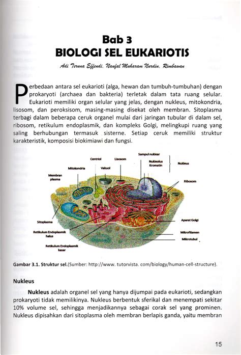 Koleksi 6+ Gambar Glioksisom Pada Sel Tumbuhan