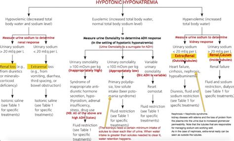 Determining the Cause of Hyponatremia | Time of Care