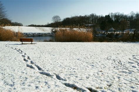 Lake Elkhorn Snow