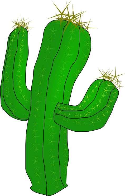 Download High Quality cactus clipart transparent background Transparent PNG Images - Art Prim ...