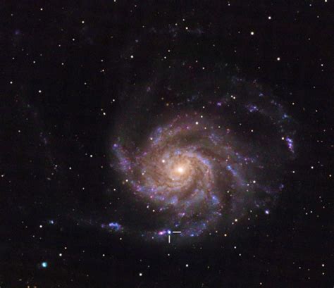 messier-101-with-supernova – The Garden Astronomer