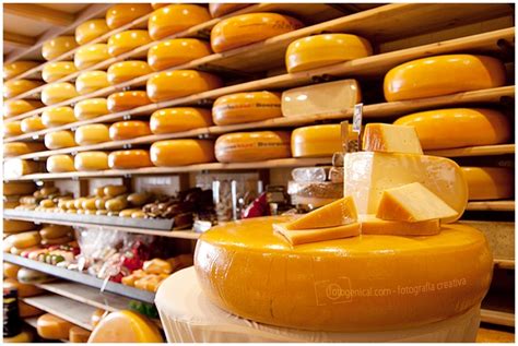 Gouda, Holland. The most famous cheese city. Visit Holland, Holland Beach, Dutch Food ...