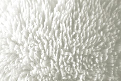 Plush White Fabric Texture – Photos Public Domain