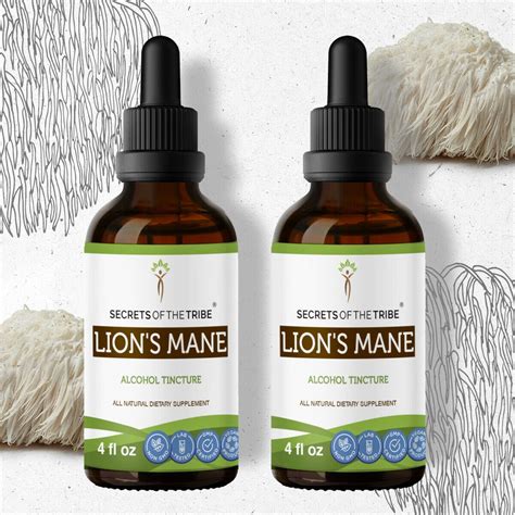 Lion's Mane Tincture Alcohol Extract, Organic Lion's Mane (Hericium erinaceus) Dried Mushroom ...