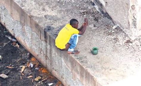 2.4m practice open defecation - Daily Trust