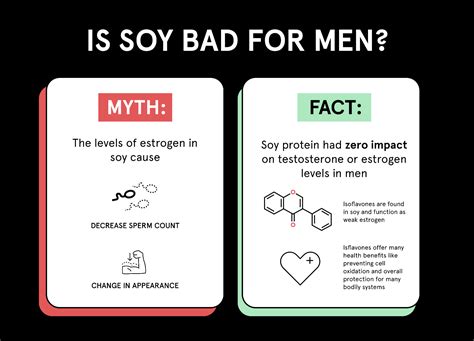 Is Soy Bad for Men? – Soylent Canada