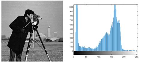 Plain-image "cameraman.tif" and his histogram | Download Scientific Diagram