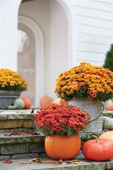 33 DIY Gardening Ideas for Fall