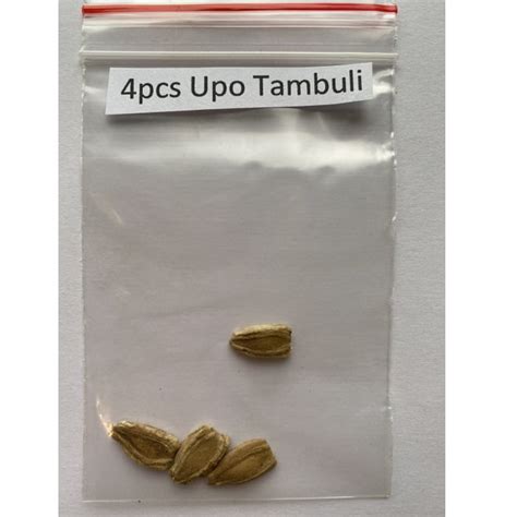 Upo Tampuli Seeds, Bottle Gourd Seeds, Vegetable Seeds, Variety#005 ...