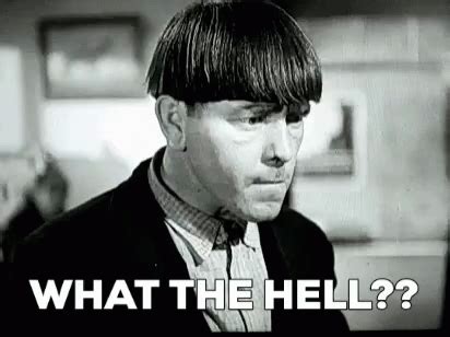 What The Hell Moe GIF - What The Hell Moe Three Stooges - Discover & Share GIFs