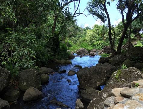 Limahuli Garden Kauai - Kauai Travel Blog