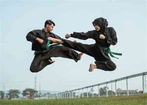 Perguruan Pencak Silat Indonesia yang Terbesar dan Populer di Indonesia