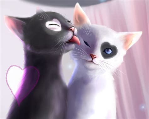 Black & White Cat (Love Heat, kiss, Art) Wallpaper