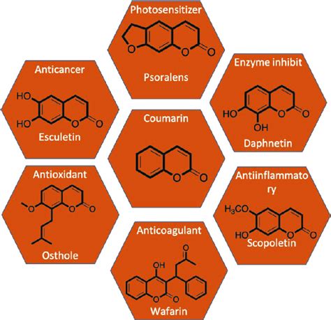 Coumarin derivatives and their applications. | Download Scientific Diagram