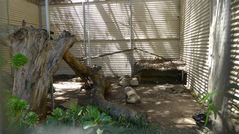 Halls Gap Zoo - Fennec Fox enclosure - ZooChat