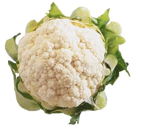 Bunga Kol Putih (White Cauliflower)