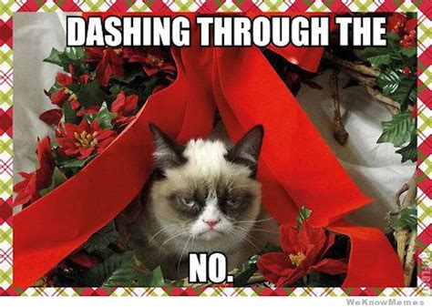 16 Christmas Memes To Get You Through The Holiday, Because Sometimes ...