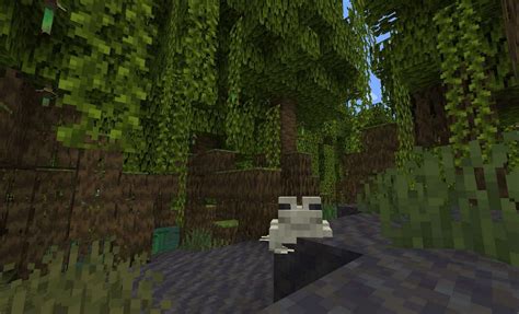 Mangrove Swamp biome in Minecraft 1.19 update: Everything you need to know