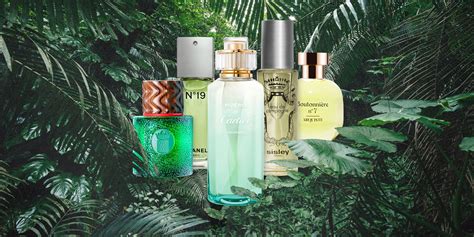 Best Perfumes with Green Notes: A Natural Fragrance Symphony. - Grooming Wise