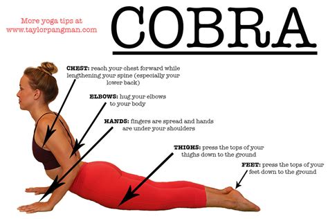 POSTURE BREAKDOWN: Cobra Pose (Bhujangasana) — TAYLOR PANGMAN YOGA