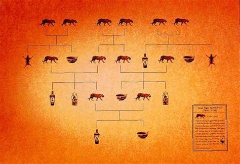 WWF: "TIGER FAMILY TREE" Print Ad by Saatchi & Saatchi Singapore ...