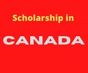 Undergraduate scholarship in Canada 2021 | apply now