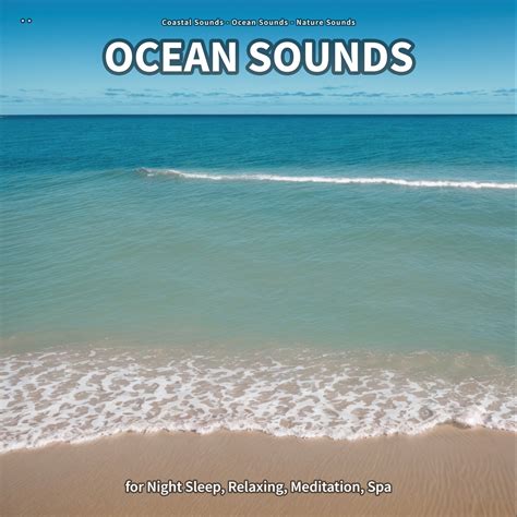 Ocean Sounds, Part 21_Coastal Sounds、Ocean Sounds、Nature Sounds_高音质在线试听_Ocean Sounds, Part 21歌词 ...