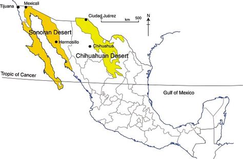 How similar are Mexico's two major deserts, the Sonoran Desert and the ...