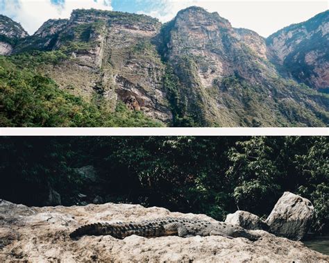 The best guide to the Sumidero Canyon 2024 - Mexico