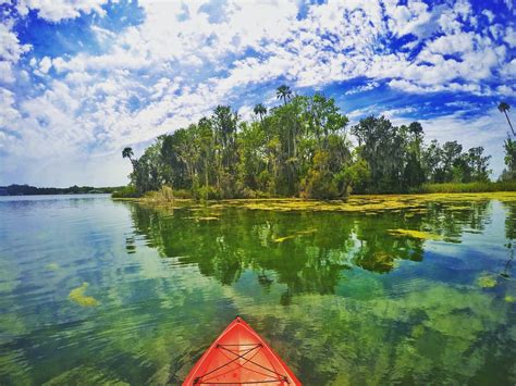 Kayaking Crystal River, Florida | Clearwater beach, Clearwater beach florida, Outdoor family ...