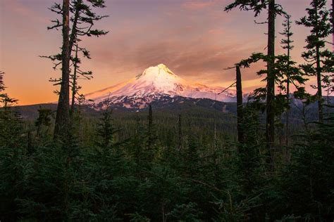 Scenic View of Mount Hood during Sunset · Free Stock Photo