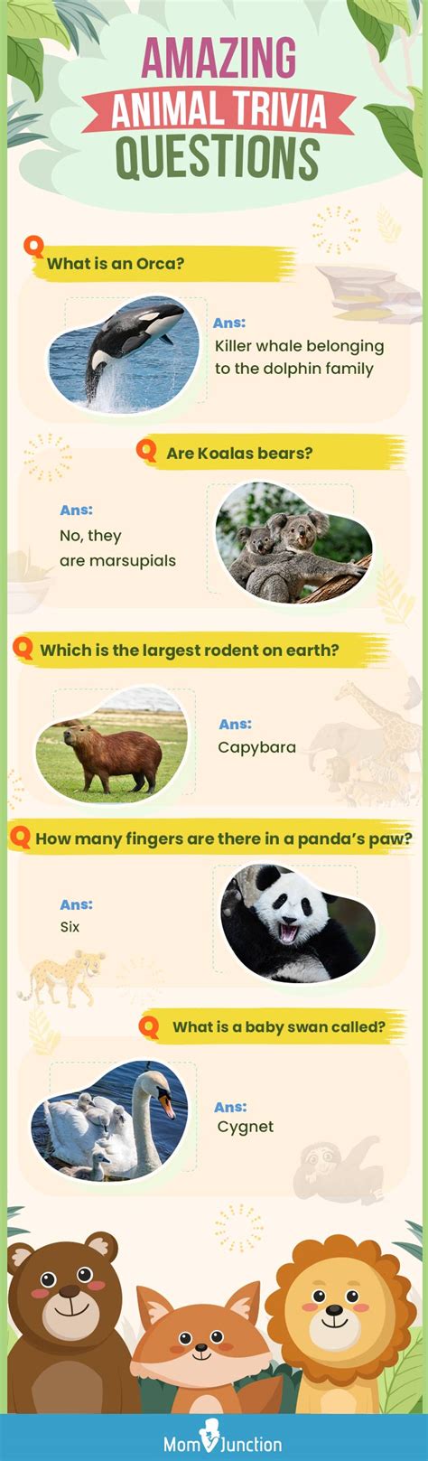 150+ Interesting Animal Trivia Questions For Kids, With Answers