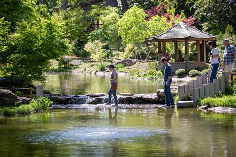 Fort Worth Botanic Garden sets course for next 20 years with approval of master plan | Fort ...