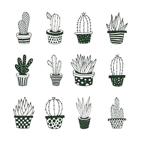 Premium Vector | Cactus doodle