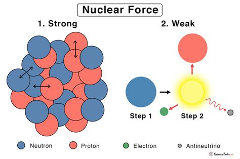 Nuclear Force: Definition, Characteristics, & Applications