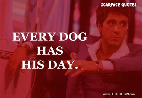 14 Best Scarface Quotes Only For 18 Years Old and Above | EliteColumn