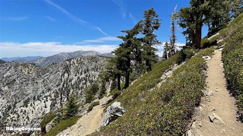 The Cucamonga Peak Hike - HikingGuy.com